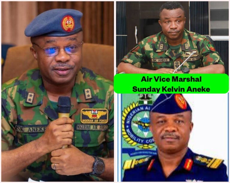 Air Vice Marshal Sunday Kelvin Aneke biography